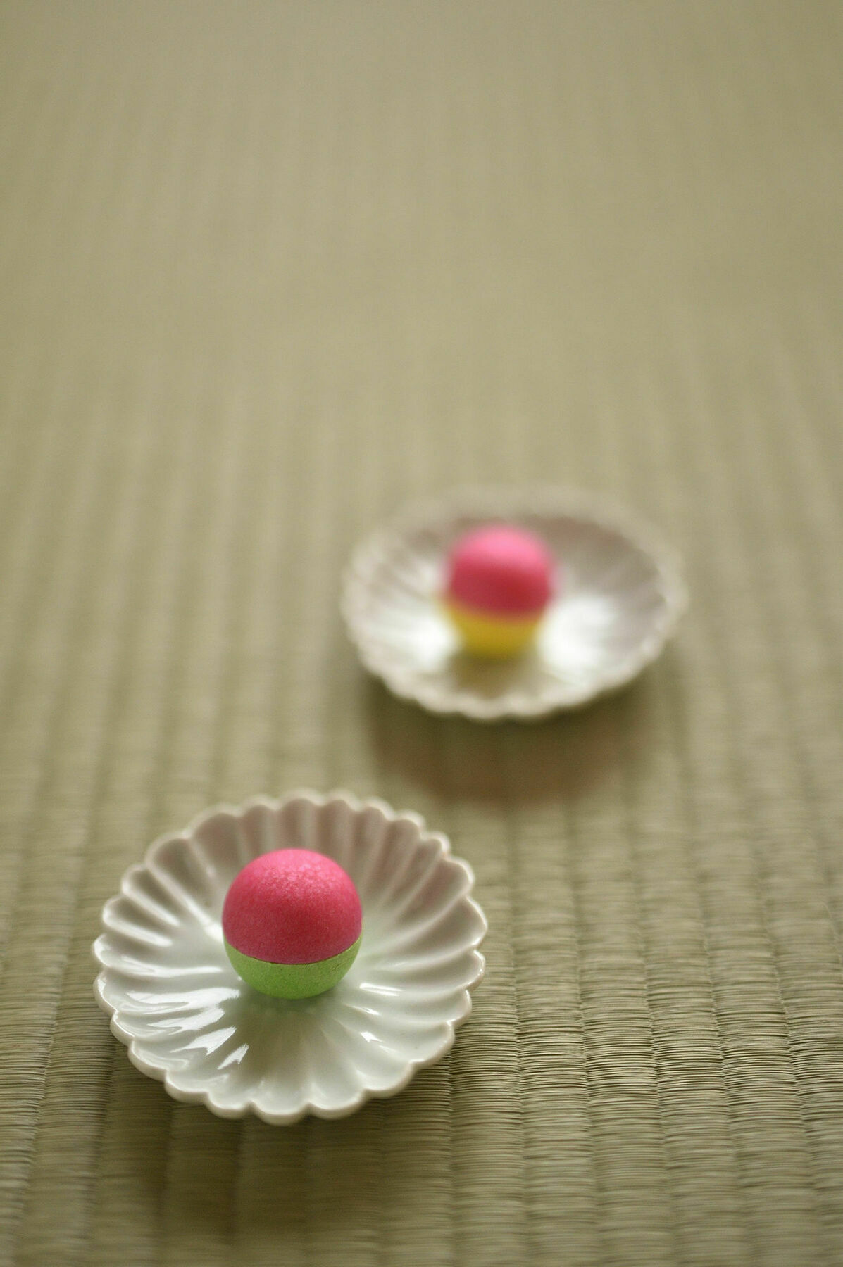 Micasa Ryokan *