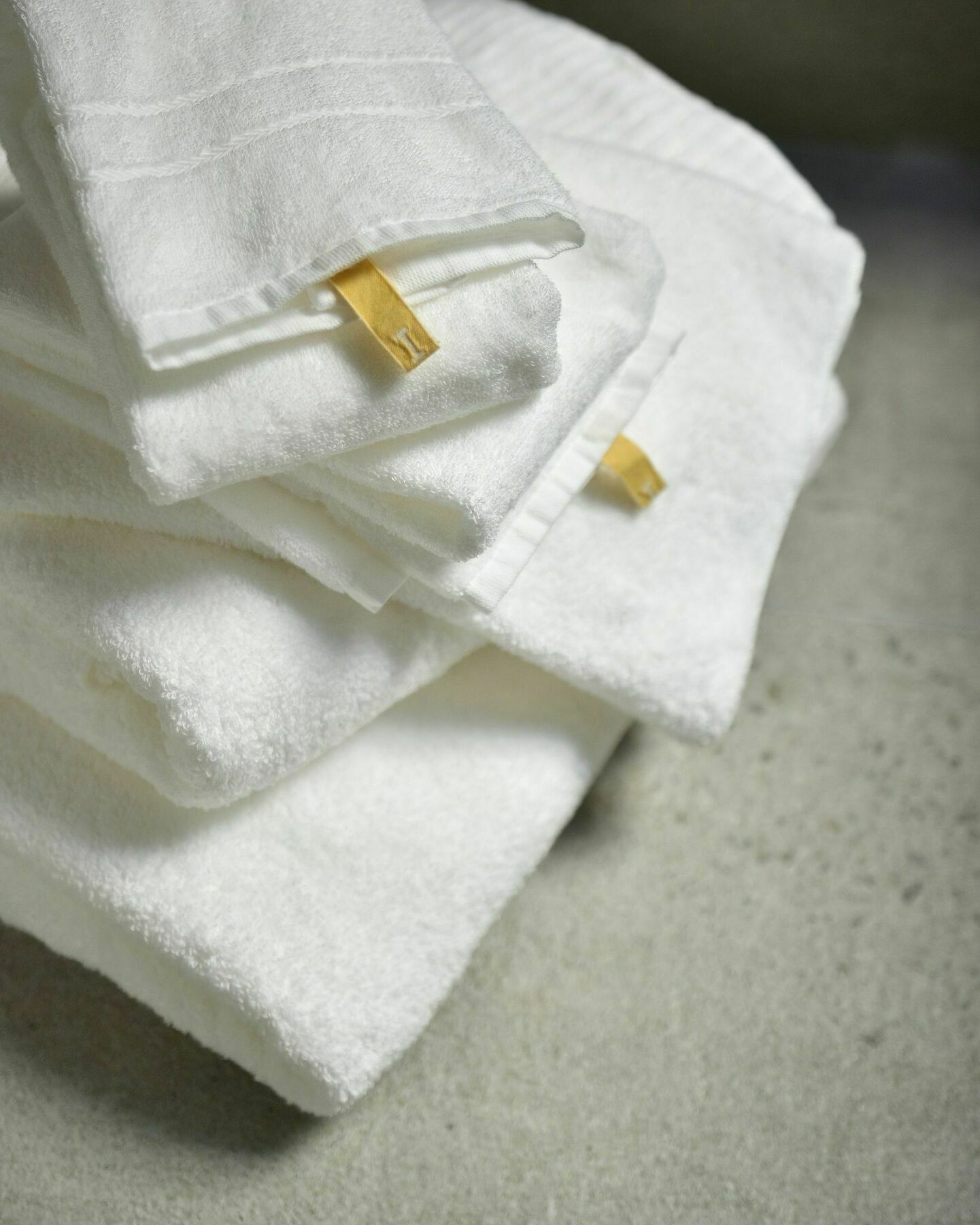 Micasa Ryokan *